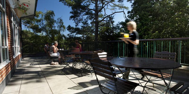The Lodge At Meyrick Park Bournemouth Bagian luar foto